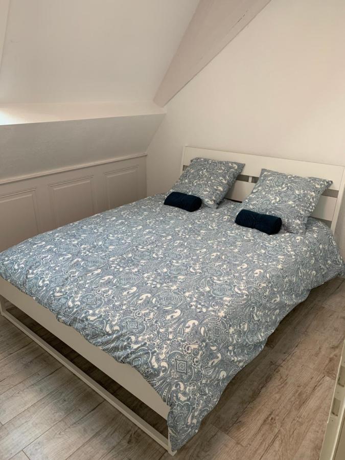 Historical Town Center Spacious Flat Кольмар Екстер'єр фото