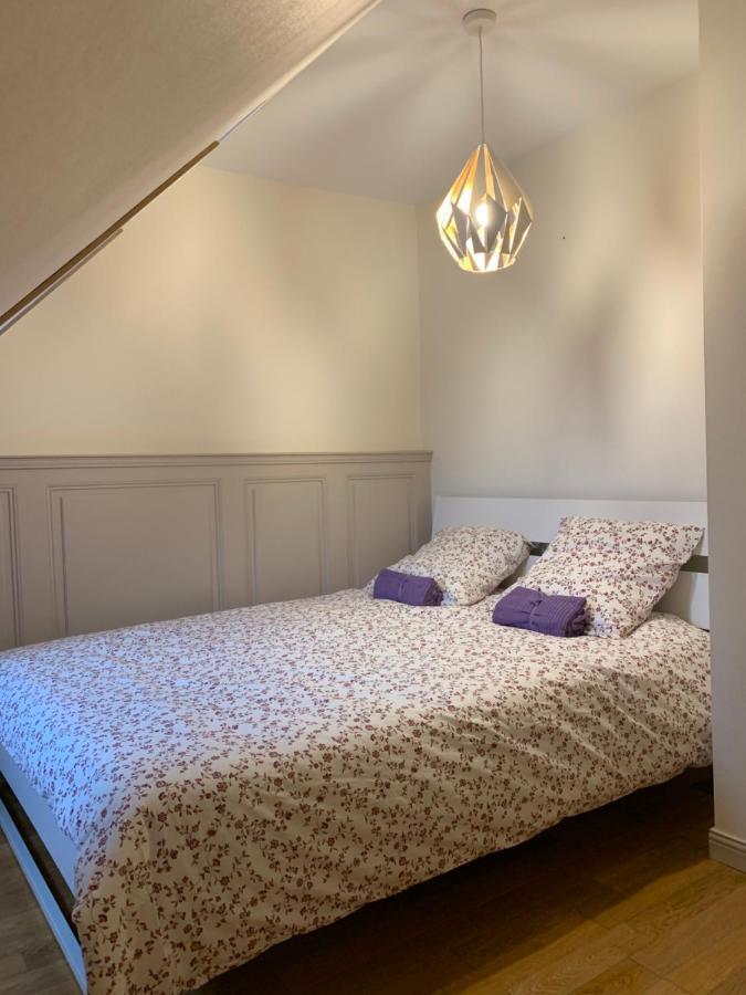 Historical Town Center Spacious Flat Кольмар Екстер'єр фото