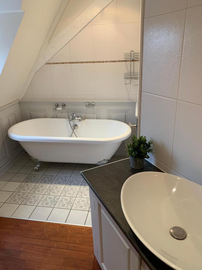 Historical Town Center Spacious Flat Кольмар Екстер'єр фото