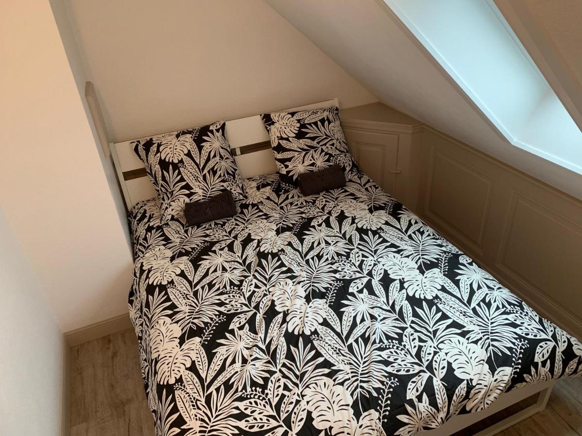 Historical Town Center Spacious Flat Кольмар Екстер'єр фото