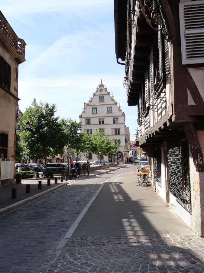Historical Town Center Spacious Flat Кольмар Екстер'єр фото