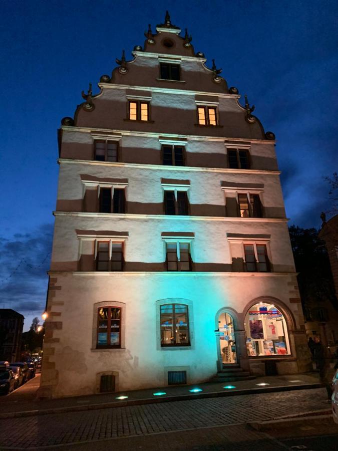 Historical Town Center Spacious Flat Кольмар Екстер'єр фото