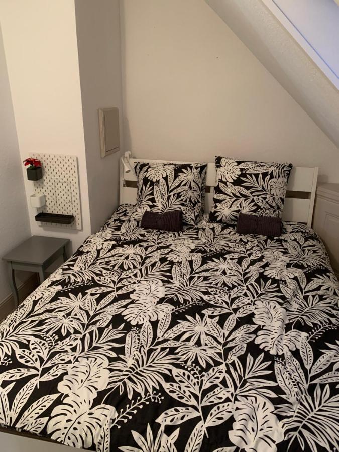 Historical Town Center Spacious Flat Кольмар Екстер'єр фото