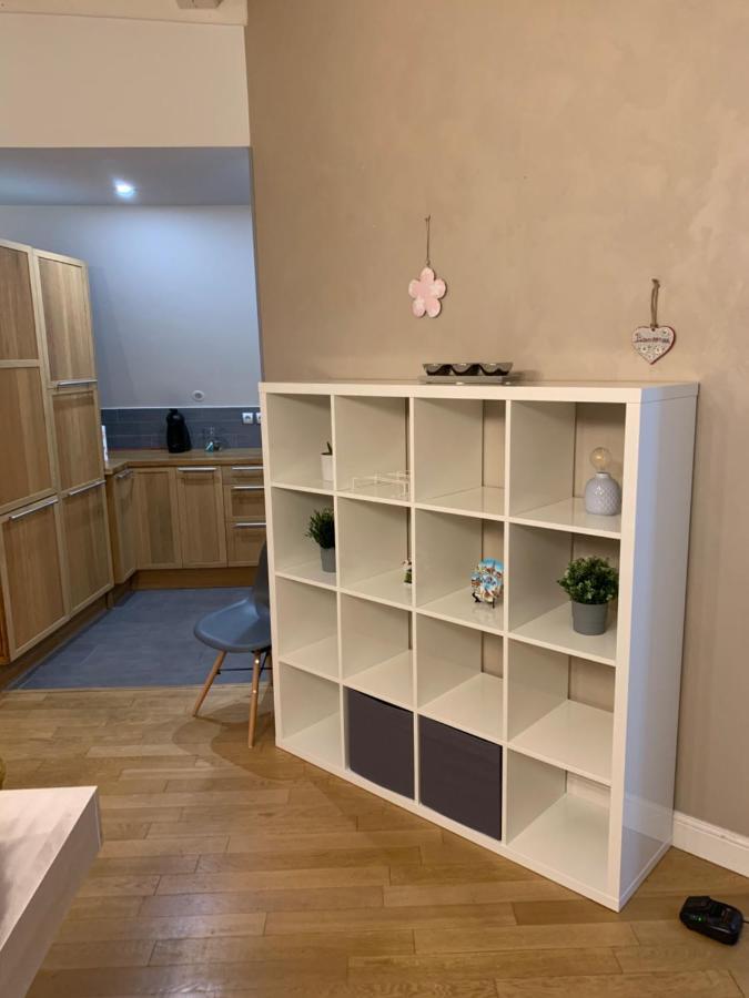 Historical Town Center Spacious Flat Кольмар Екстер'єр фото