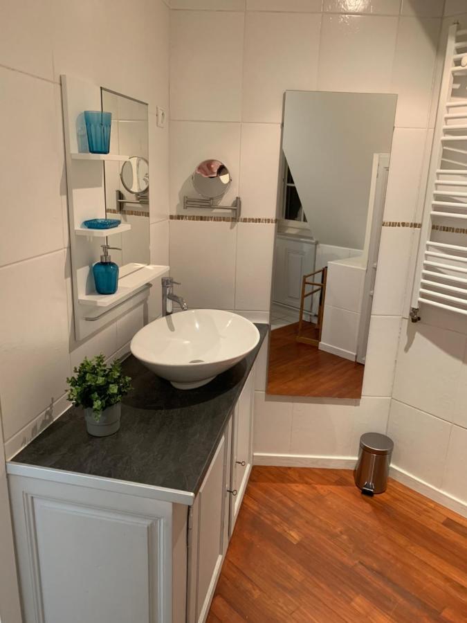 Historical Town Center Spacious Flat Кольмар Екстер'єр фото