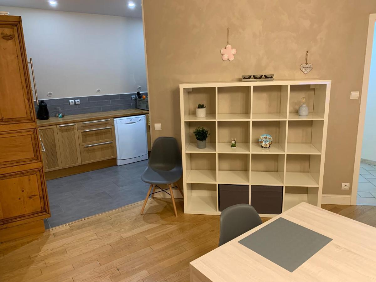 Historical Town Center Spacious Flat Кольмар Екстер'єр фото