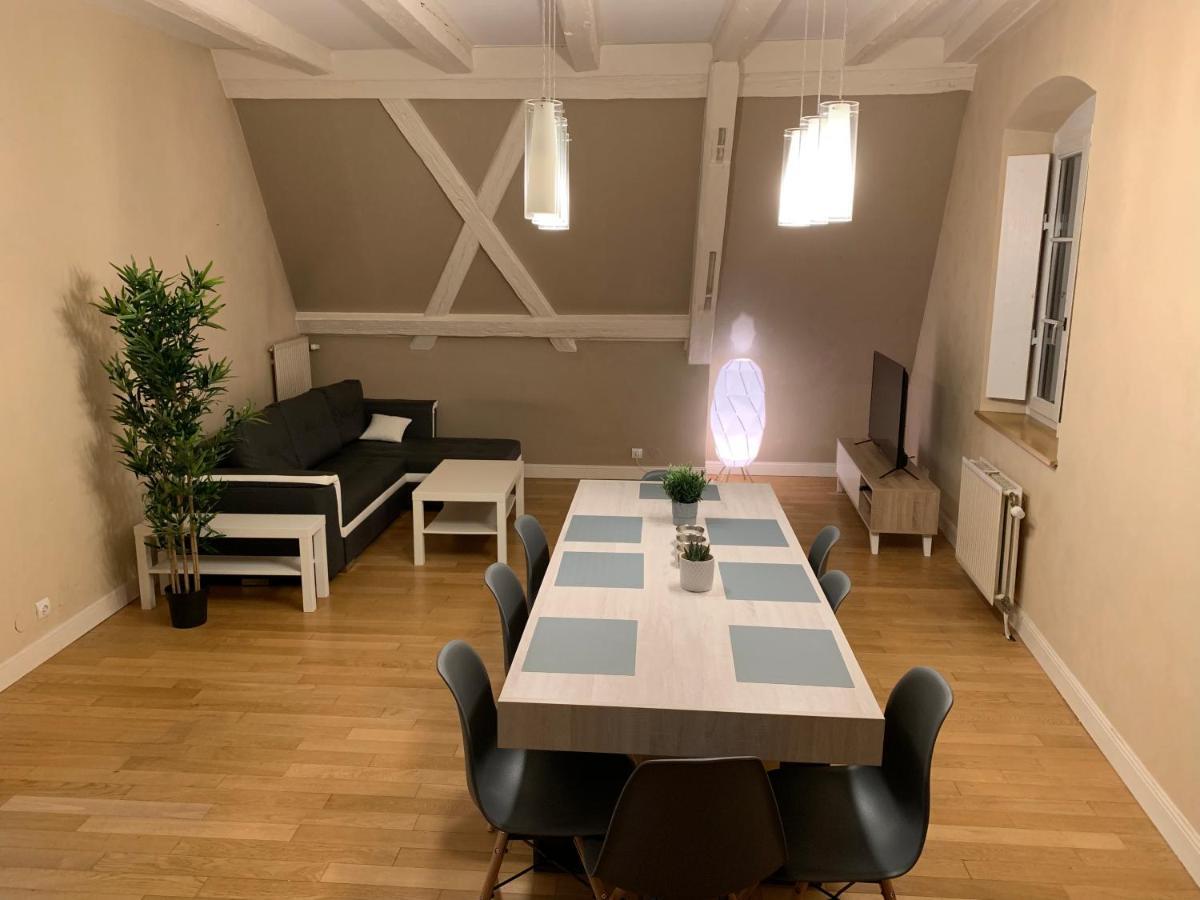 Historical Town Center Spacious Flat Кольмар Екстер'єр фото