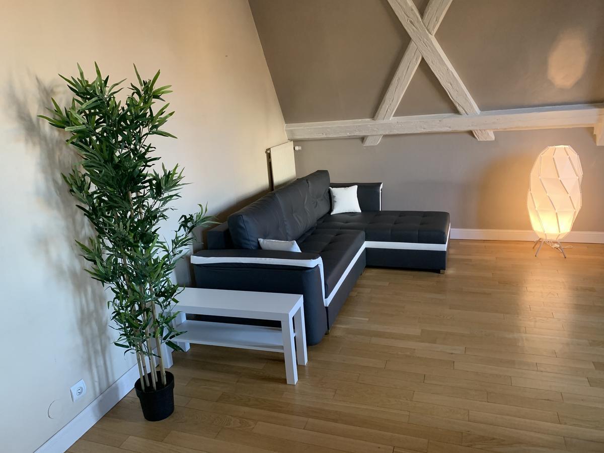 Historical Town Center Spacious Flat Кольмар Екстер'єр фото